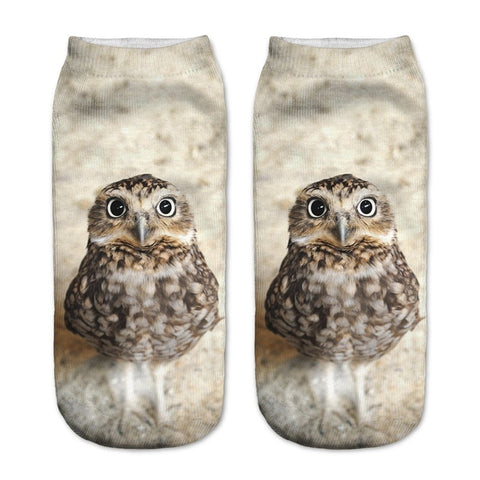 owl patterned socks