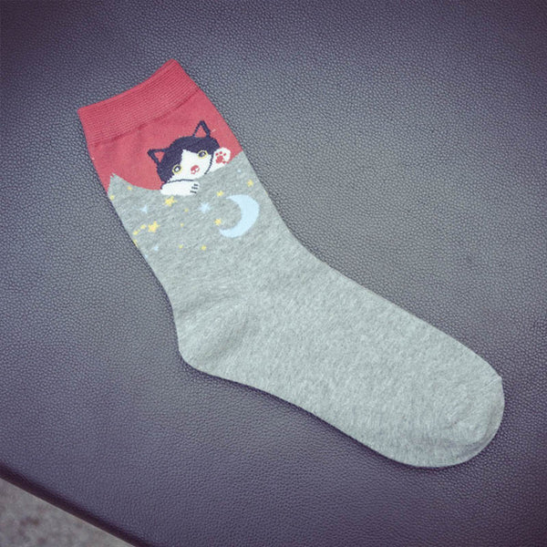 cat patterned socks