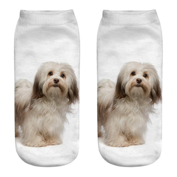 dog patterned socks